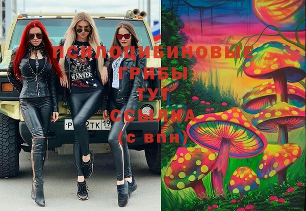 дмт Алексин