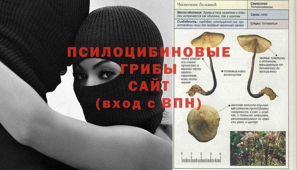 mix Армянск
