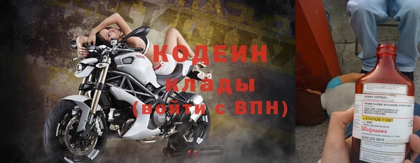 дмт Алексин