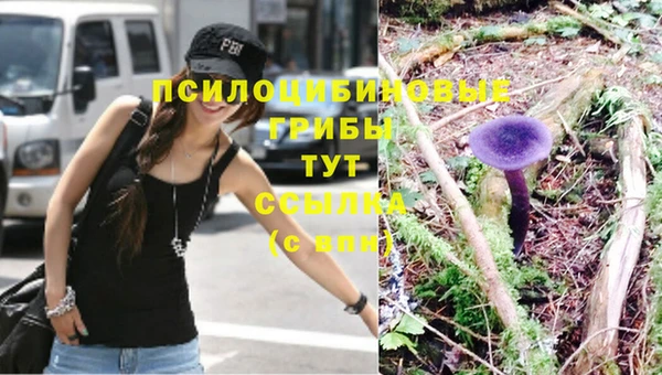 скорость Алексеевка