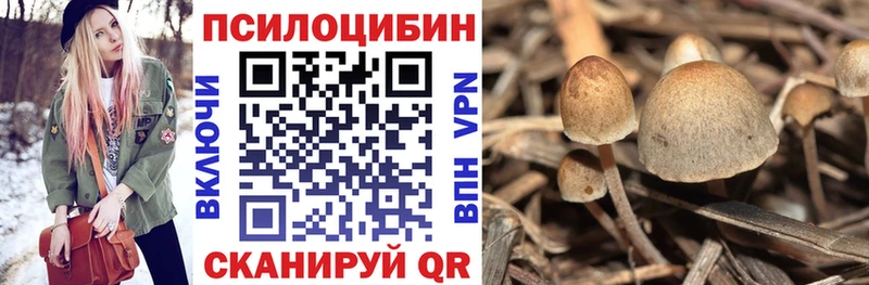 Галлюциногенные грибы MAGIC MUSHROOMS Тюкалинск